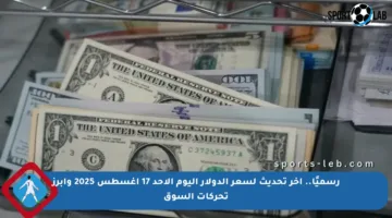 رسميًا.. آخر تحديث لسعر الدولار اليوم الأحد 17 أغسطس 2025 وأبرز تحركات السوق